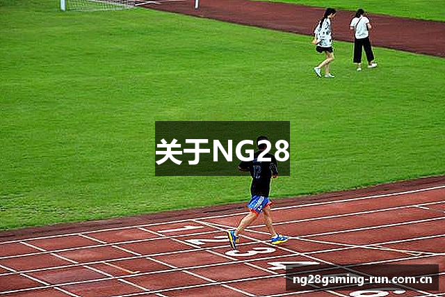 关于NG28